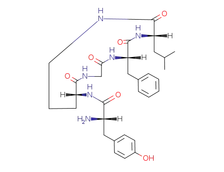 Molecular Structure of 83159-95-9 (Enkephalin, H-tyr-cyclo-(N(delta)-orn-gly-phe-leu)-)