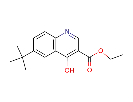 6-tert-부틸-4-히드록시-퀴놀린-3-카르복실산 에틸 에스테르