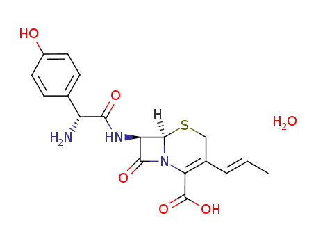 세프프로질(E)-이성질체(50mg)