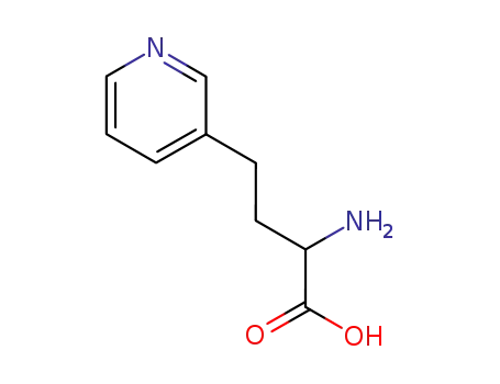 2-아미노-3-피리딘부탄산