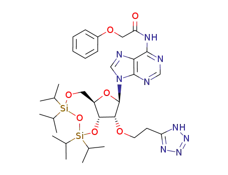 6-N-phenoxyacetyl-3',5'-O-(1,1,3,3-tetraisopropyldisiloxane-1,3-diyl)-2'-O-[2-(tetrazol-5-yl)ethyl]adenosine