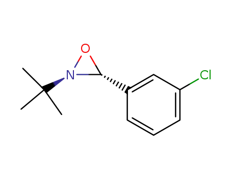 Molecular Structure of 23898-59-1 (2-tert-butyl-3-(3-chlorophenyl)oxaziridine)