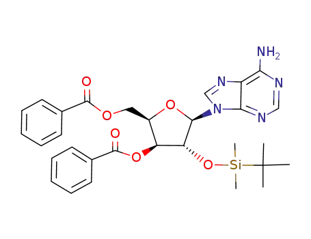 Di-O-benzoyl-3',5' O-t-butyldimethylsilyl-2' β-D-xylofurannosyl-9 adenine