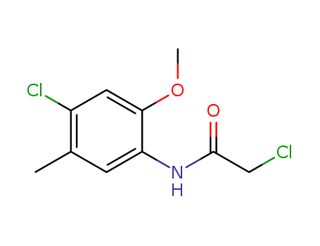 2-chloro-N-(4-chloro-2-methoxy-5-methylphenyl)acetamide(SALTDATA: FREE)