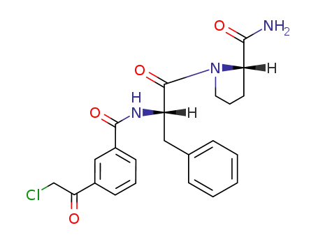Molecular Structure of 81500-69-8 (N-[3-(chloroacetyl)benzoyl]-L-phenylalanyl-L-prolinamide)