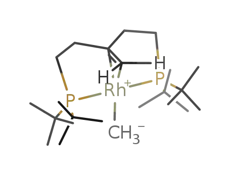 Molecular Structure of 189168-25-0 ((C(CH<sub>2</sub>CH<sub>2</sub>P(C(CH<sub>3</sub>)3)2)2CH<sub>2</sub>RhCH<sub>3</sub>))