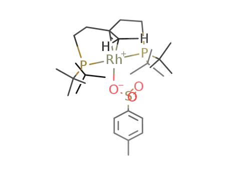 Molecular Structure of 284041-45-8 ((C(CH<sub>2</sub>CH<sub>2</sub>P(C(CH<sub>3</sub>)3)2)2CH<sub>2</sub>RhOSO<sub>2</sub>C<sub>6</sub>H<sub>4</sub>CH<sub>3</sub>))