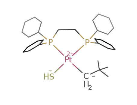 Molecular Structure of 220214-04-0 (cis-sulfhydrylneopentenyl[bis(dicyclohexylphosphino)ethane]platinum(II))