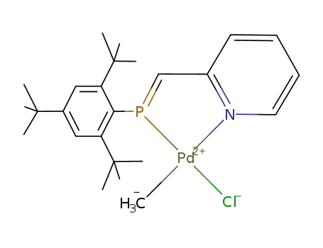 η(1),η(1)-[(E)-((2-pyridyl)methylene)(2,4,6-tri-tert-butylphenyl)phosphine]methylpalladium chloride