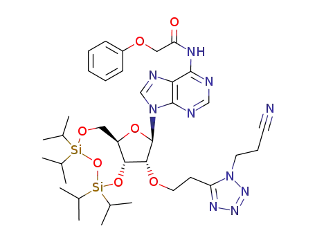 2'-O-[(1-N-cyanoethyltetrazol-5-yl)ethyl]-6-N-phenoxyacetyl-3',5'-O-(1,1,3,3-tetraisopropyldisiloxane-1,3-diyl)adenosine