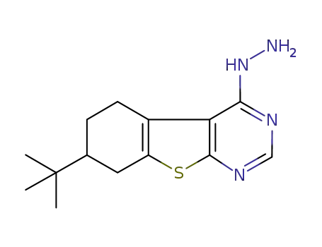 7-tert-butyl-4-hydrazinotetrahydrobenzo[b]thieno[2,3-d]pyrimidin-4-one