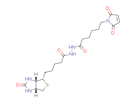 N-biotinoyl-N-(maleimidohexanoyl)hydrazine 116919-18-7