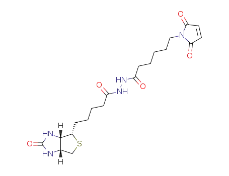 Molecular Structure of 116919-18-7 (BIOTIN-MALEIMIDE)