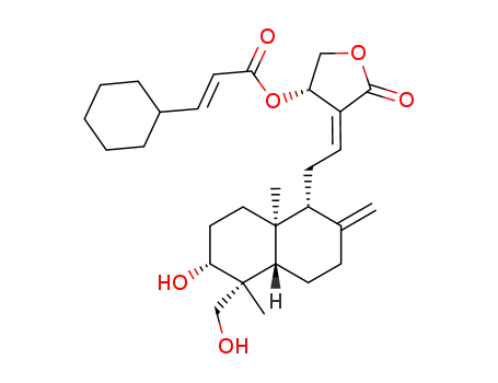 14-((E)-3-cyclohexylacryloyl) andrographolide