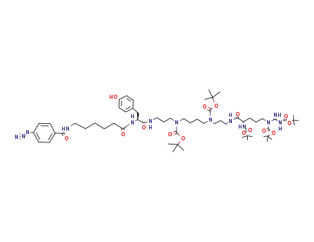N-<6-(p-azidobenzamide)-caproyl>-tyrosyl-N,N'-di-Boc-spermine-N-α-N<sup>G</sup>,N<sup>G'</sup>-tri-Boc-L-arginine-di-amide