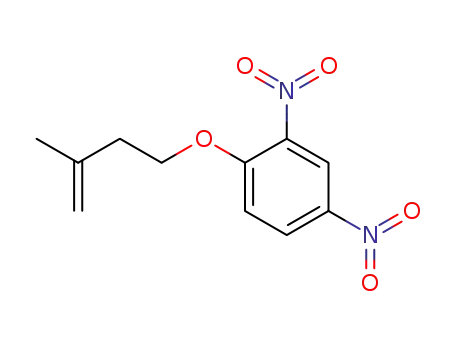 Molecular Structure of 107909-39-7 (isopentenyl 2,4-dinitrophenyl ether)