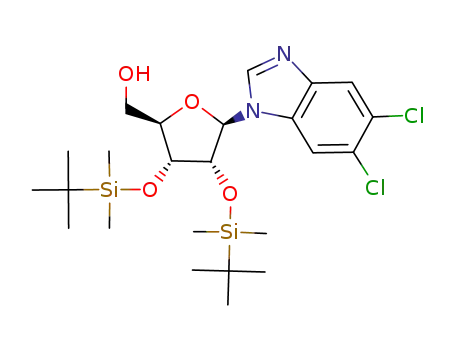 5,6-dichloro-1-(2,3-di-O-tert-butyldimethylsilyl-β-D-ribofuranosyl)benzimidazole