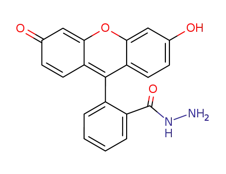 fluorescein hydrazide