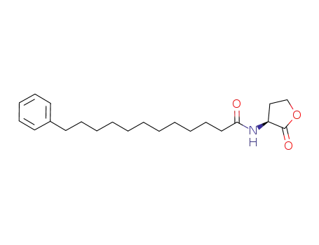 N-12-phenyldodecanoyl-L-homoserine lactone