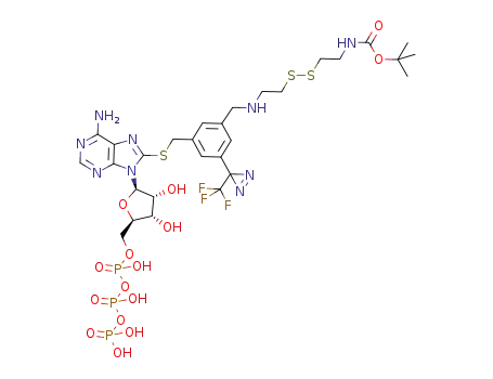 N-(2-{2-[3-[6-amino-9-(3,4-dihydroxy-5-(phosphonooxyphosphonooxyphosphonooxymethyl)tetrahydrofuran-2-yl)-9H-purin-8-ylsulfanylmethyl]-5-(3-trifluoromethyl-3H-diazirin-3-yl)benzylamino]ethyldisulfanyl}ethyl)carbamic acid tert-butyl ester