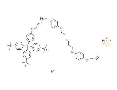 1207510-98-2