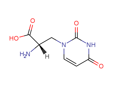 L-WILLARDIINE;S(-)-ALPHA-AMINO-3,4-DIHYDRO-2,4-DIOXO-1(2H)-PYRIMIDINEPROPANOIC ACID;S(-)-WILLARDIINE