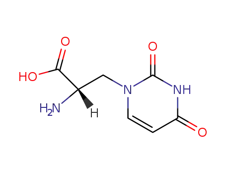 S(-)-ALPHA-아미노-3,4-DIHYDRO-2,4-DIOXO-1(2H)-피리미딘프로판산