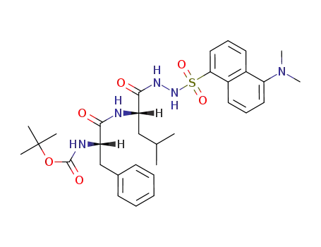 Molecular Structure of 153120-74-2 (Boc-Phe-Leu-NHNHDns)