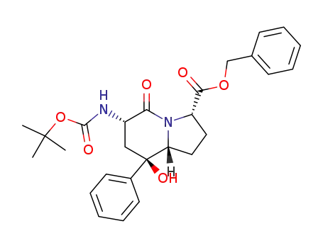(3S,6S,8R,8aR)-6-tert-Butoxycarbonylamino-8-hydroxy-5-oxo-8-phenyl-octahydro-indolizine-3-carboxylic acid benzyl ester
