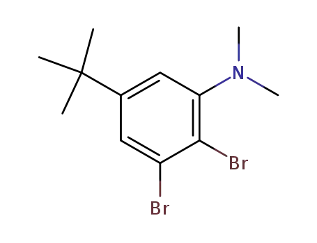 2,3-Dibromo-5-tert-butyl-N,N-dimethylaniline