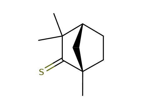 Molecular Structure of 54423-29-9 (Bicyclo[2.2.1]heptane-2-thione, 1,3,3-trimethyl-, (1S,4R)-)