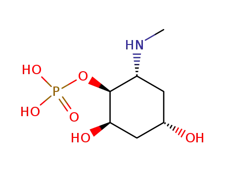 6-methylamino-1,2,4-trihydroxycyclohexane 1-phosphate