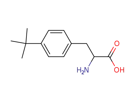 Molecular Structure of 98708-80-6 (DL-4-Tert-butylphenylalanine)