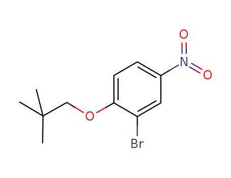 Molecular Structure of 288251-72-9 (3-bromo-4-neopentyloxynitrobenzene)