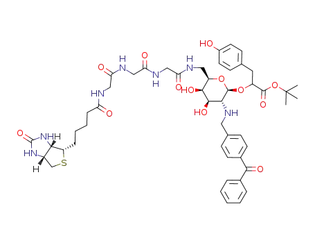 t-butyl 2-(2'-deoxy-2'-[4-benzoylphenyl]methylamino-6'-[N-(N-(N-(biotinyl)glycyl)glycyl)glycyla]-amino-6'-deoxy-β-D-galactopyranosyloxy)-3-hydroxyphenylpropanoate