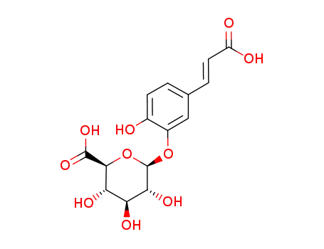 Caffeic Acid 3-β-D-Glucuronide