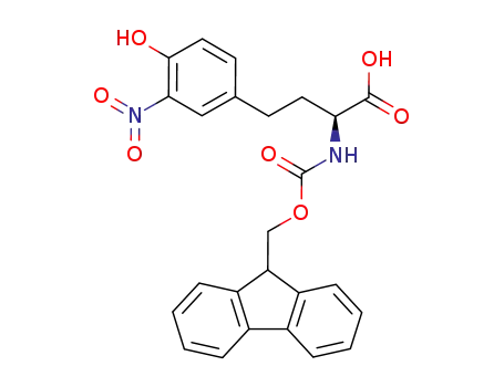 Molecular Structure of 642408-91-1 (2-(9<i>H</i>-fluoren-9-ylmethoxycarbonylamino)-4-(4-hydroxy-3-nitro-phenyl)-butyric acid)