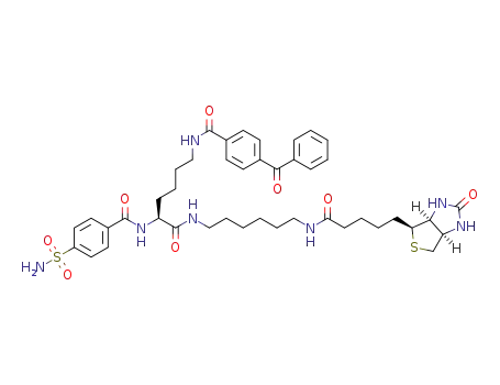 4-benzoyl-N-(6-oxo-6-(6-(5-((3aS,4S,6aR)-2-oxohexahydro-1H-thieno[3,4-d]imidazol-4-yl)pentanamido)-hexylamino)-5-(4-sulfamoylbenzamido)hexyl)benzamide
