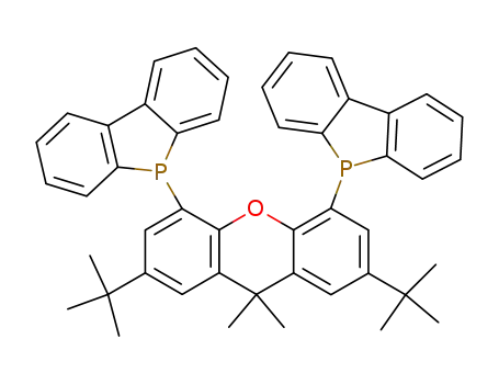 Molecular Structure of 221462-99-3 (4,5-bis(9-dibenzo[b,d]phospholyl)-2,7-di-tert-butyl-9,9-dimethylxanthene)