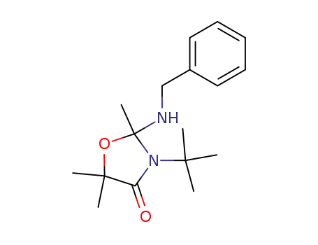 2-benzylamino-2,5,5-trimethyl-3-t-butyloxazolidin-4-one