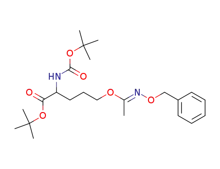 5-(N-Benzyloxy-acetimidoyloxy)-2-tert-butoxycarbonylamino-pentanoic acid tert-butyl ester