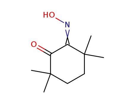 Molecular Structure of 134225-59-5 (6-(hydroxyimino)-2,2,5,5-tetramethylcyclohexanone)