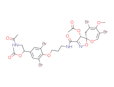 95763-24-9 Structure