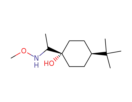 Molecular Structure of 134023-79-3 (4-tert-Butyl-1-(1-methoxyamino-ethyl)-cyclohexanol)