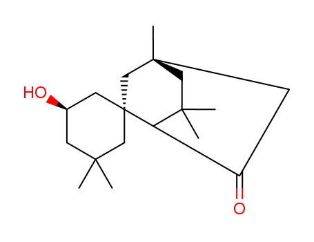 Molecular Structure of 138922-30-2 (Spiro[bicyclo[2.2.2]octane-2,1'-cyclohexan]-6-one,
3'-hydroxy-4,5',5',7,7-pentamethyl-)