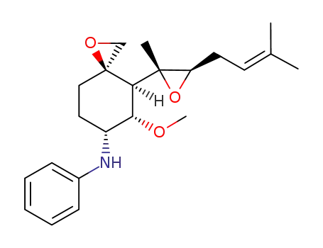 6-phenylamino-6-deoxyfumagillol