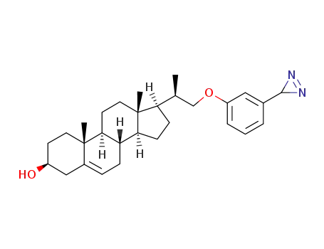 (3S,8S,9S,10R,13S,14S,17R)-17-{(R)-2-[3-(3H-Diazirin-3-yl)-phenoxy]-1-methyl-ethyl}-10,13-dimethyl-2,3,4,7,8,9,10,11,12,13,14,15,16,17-tetradecahydro-1H-cyclopenta[a]phenanthren-3-ol