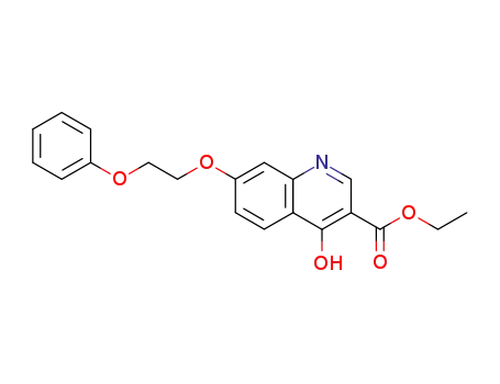 4-Hydroxy-7-(2-phenoxy-ethoxy)-quinoline-3-carboxylic acid ethyl ester