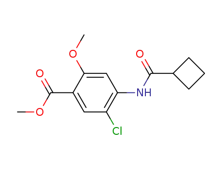 5-Chloro-4-(cyclobutanecarbonyl-amino)-2-methoxy-benzoic acid methyl ester