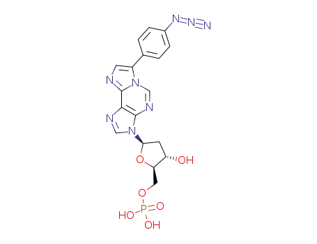 α-(4-azidophenyl)-1,N<sup>6</sup>-etheno-2'-deoxyadenosine 5'-monophosphate